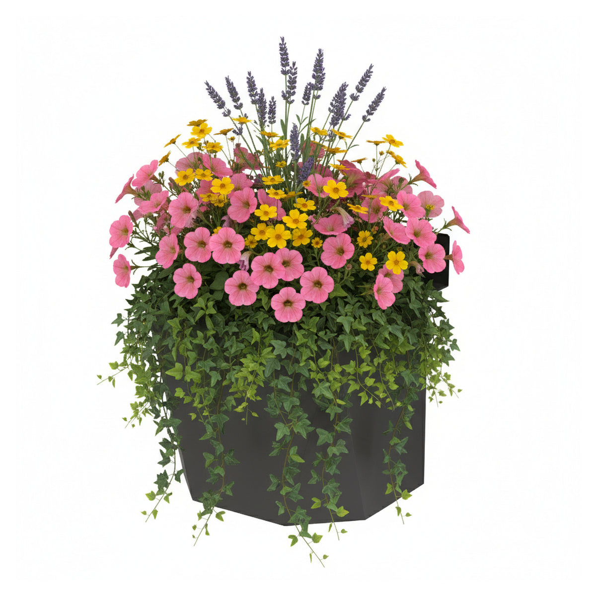 HEIDE-Serie Blumenbox 3
B150 x T139 x H170 mm
Stahl, verzinkt und anthrazit