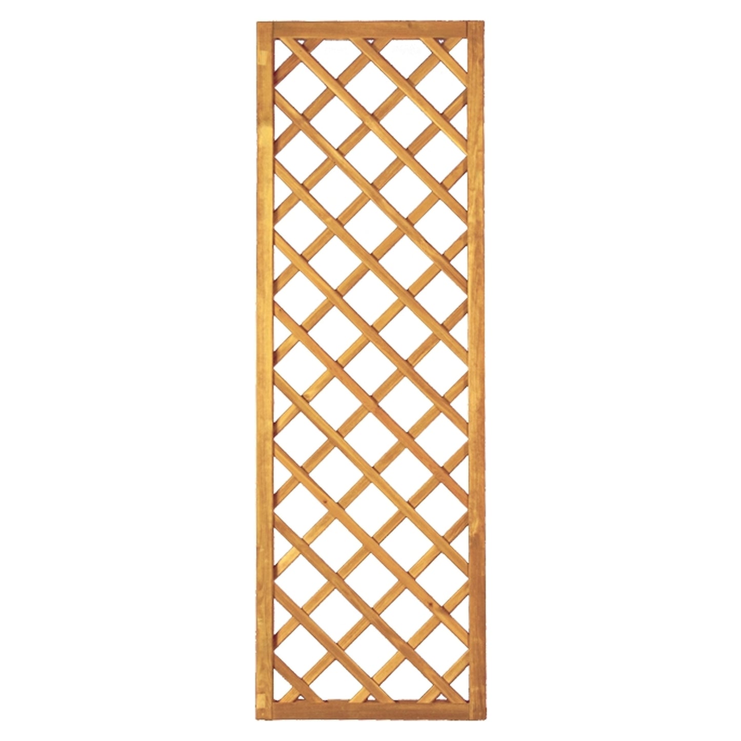 Diagonal-Rankzaun 60 x 180 cm
MW 10 x 10 cm, Rahmen 45/45 mm, kdi grün
Leisten 12 x 30 mm, genagelt