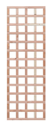 Rankelement leicht DGL 58,5x178,5cm (BxH)