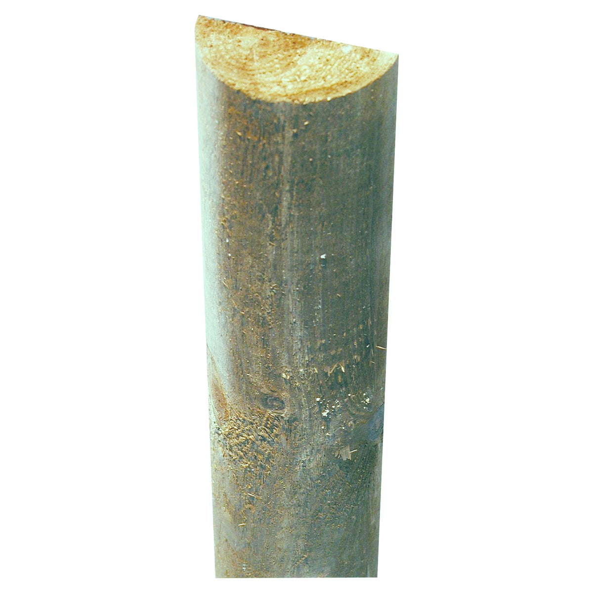 Querriegel  8 x 250 cm
gefräst, kdi-grün