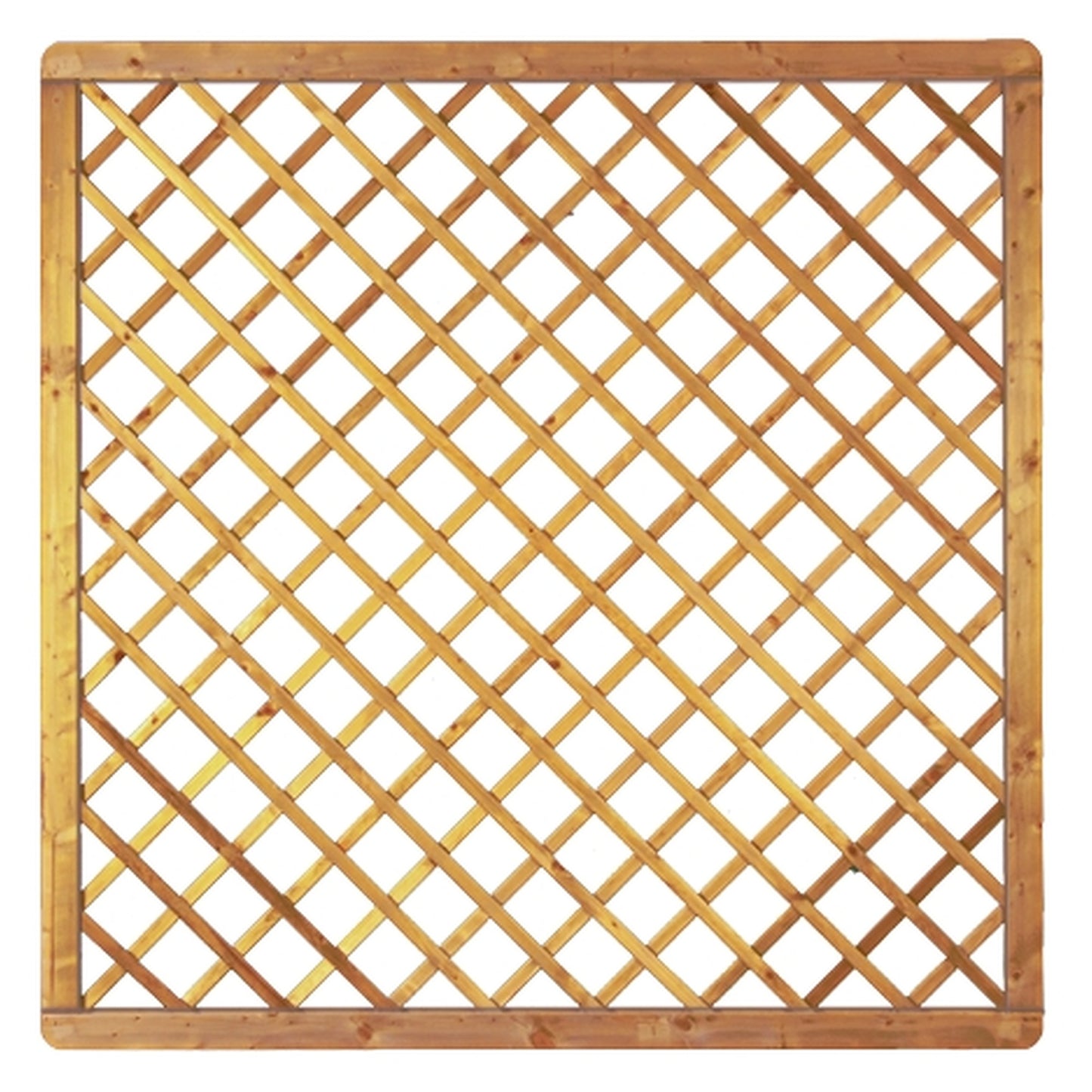 Avantgarde-Serie Diagonal-Rankgitter 
180 x 180 cm, MW 10 x 10, kdi-grün 
Rahmen 45/68 mm, Gitter geklammert