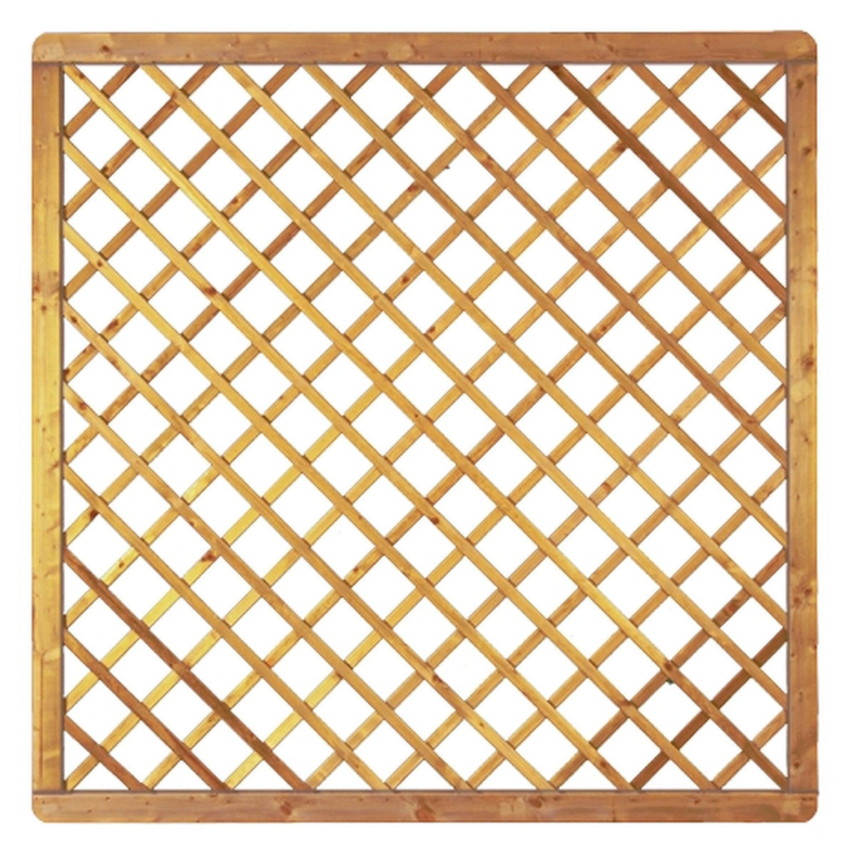 Avantgarde-Serie Diagonal-Rankgitter 
180 x 180 cm, MW 10 x 10, kdi-grün 
Rahmen 45/68 mm, Gitter geklammert