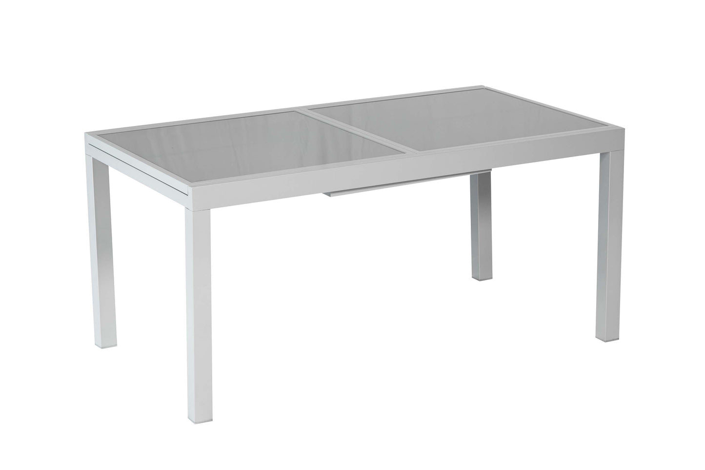 Ausziehtisch 120 (180) x 90 cm
silbernes Gestell