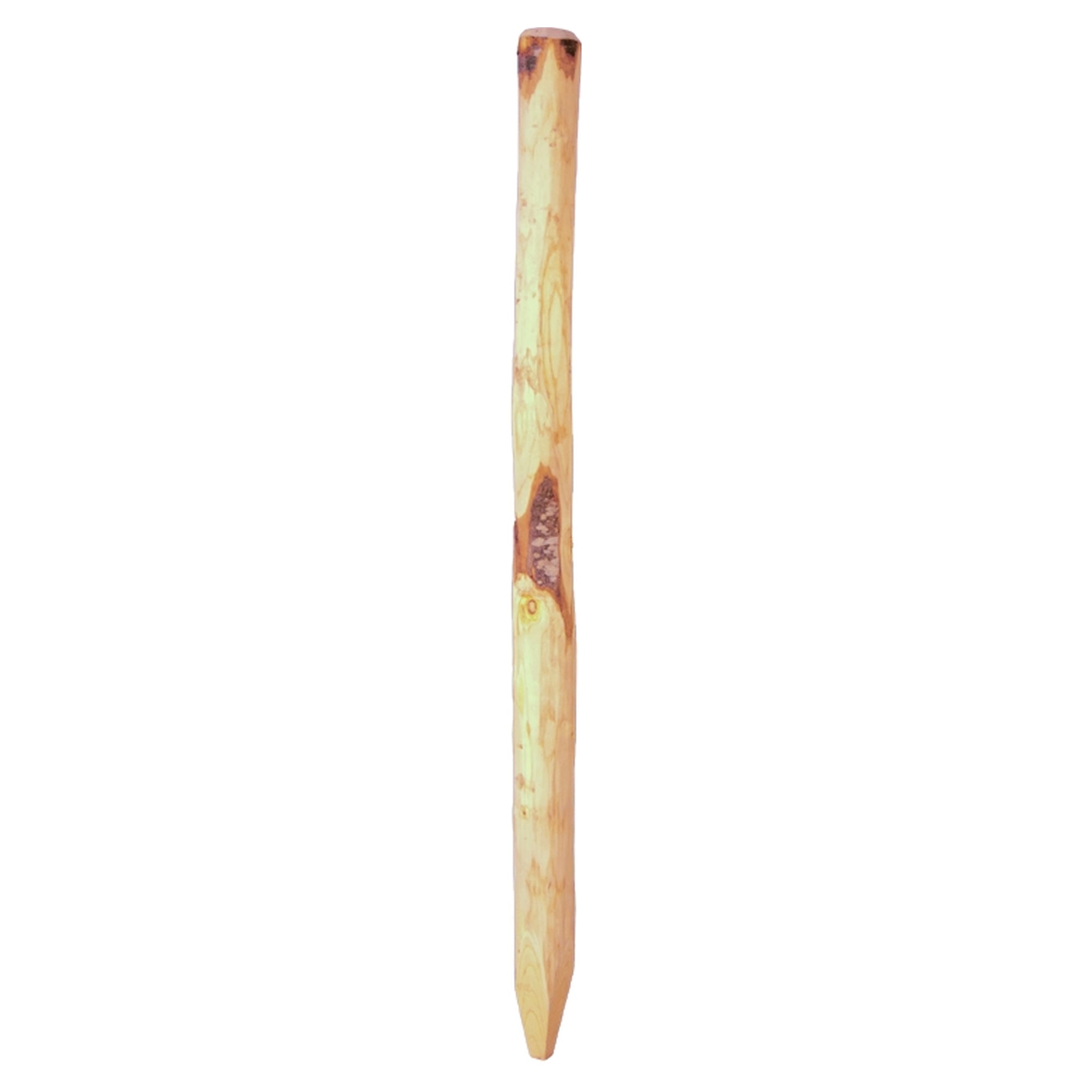 ROLLO-Zaunpfahl
Länge: 175 cm
d ca. 8-10 cm