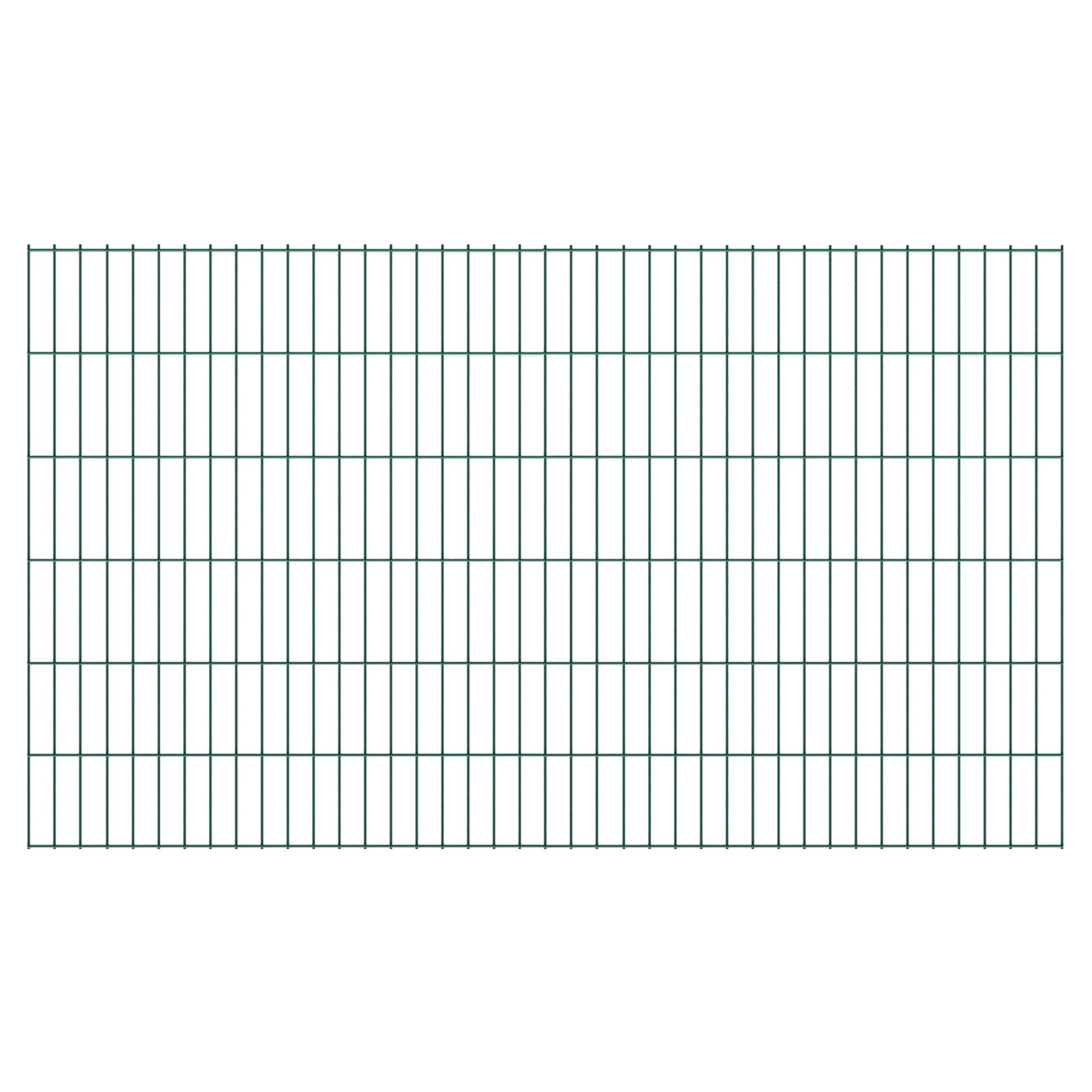 BASIC Doppelstabmatte grün
200 x 120 cm, RAL 6005, 
Stäbe 6/5/6, MW 50/200 mm