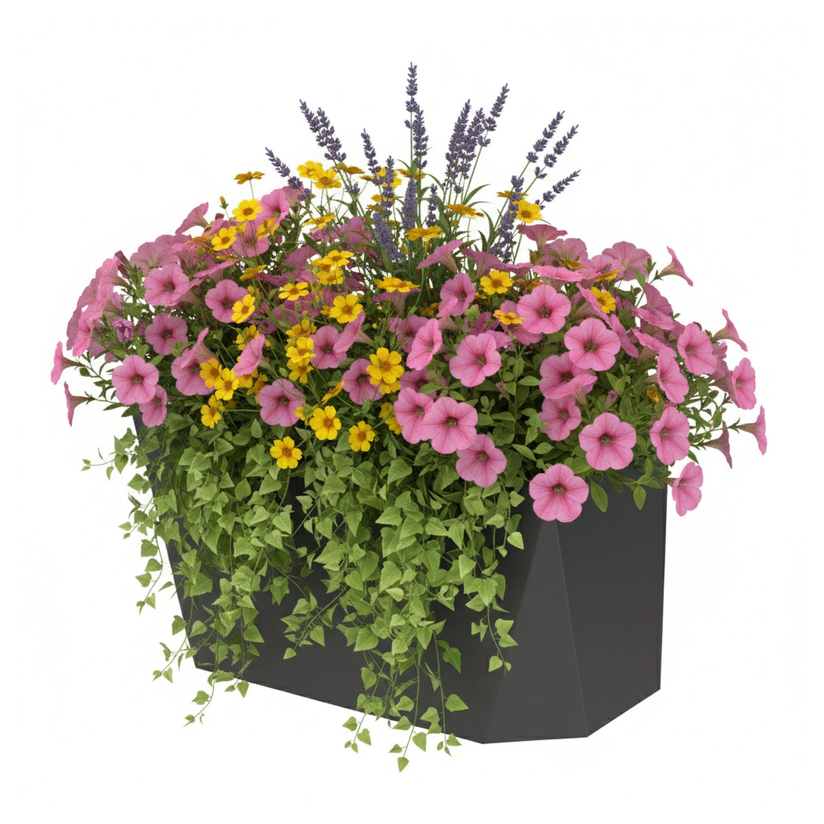 HEIDE-Serie Blumenbox 2
B250 x T139 x H170 mm
Stahl, verzinkt und anthrazit