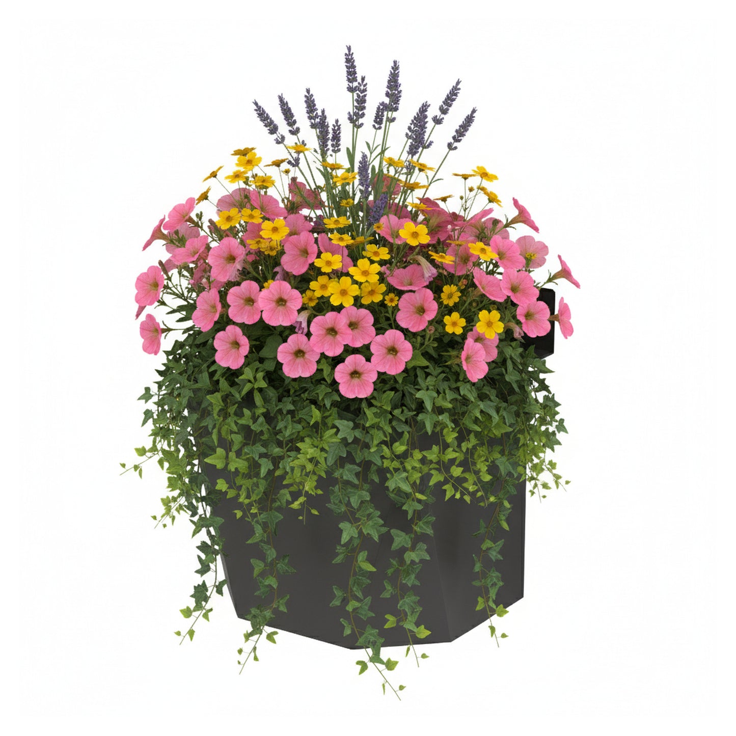 HEIDE-Serie Blumenbox 3
B150 x T139 x H170 mm
Stahl, verzinkt und anthrazit