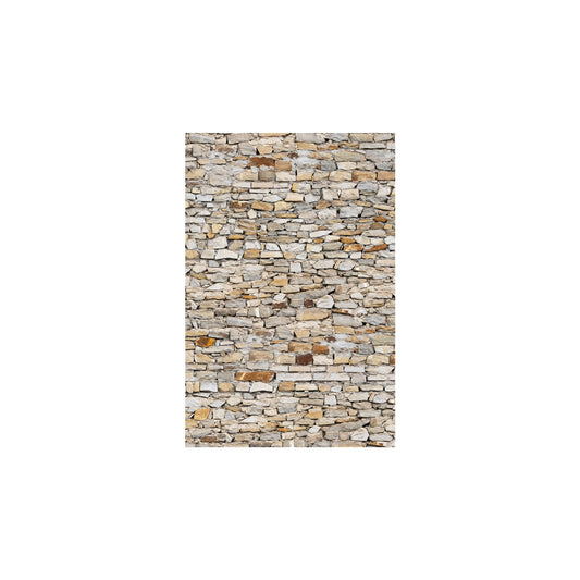 VETRO Glasscheibe MAUER
B 1030 x H 1200 mm
Motivdruck Mauerwerk 46/23