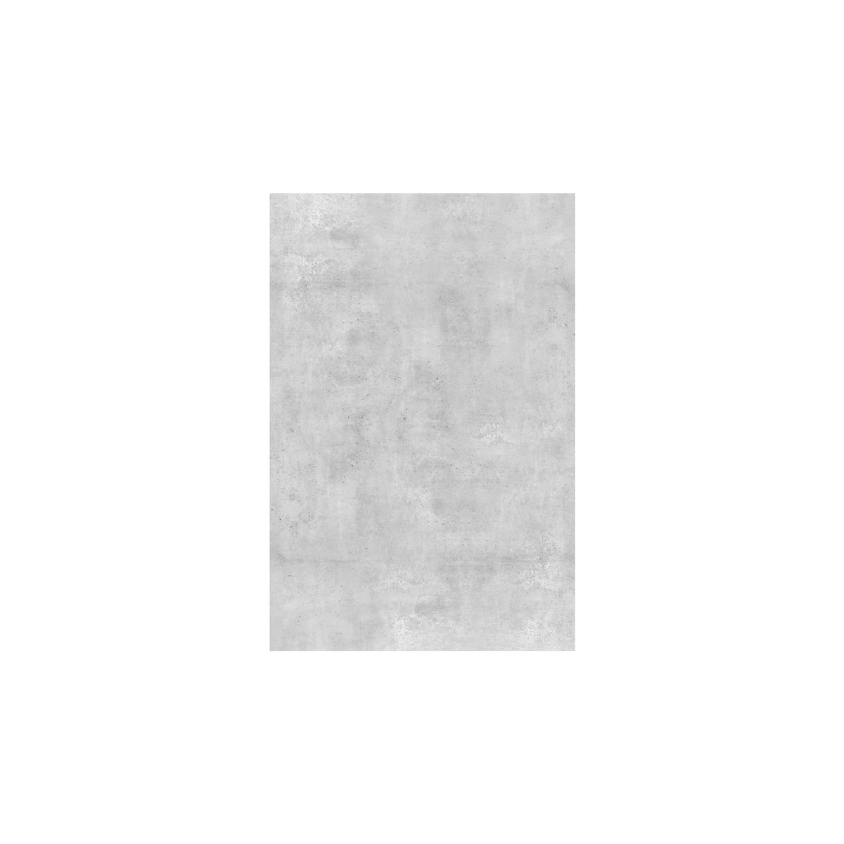 VETRO Glasscheibe BETON
B 1200 x H 1800 mm
Motivdruck Beton 46/24