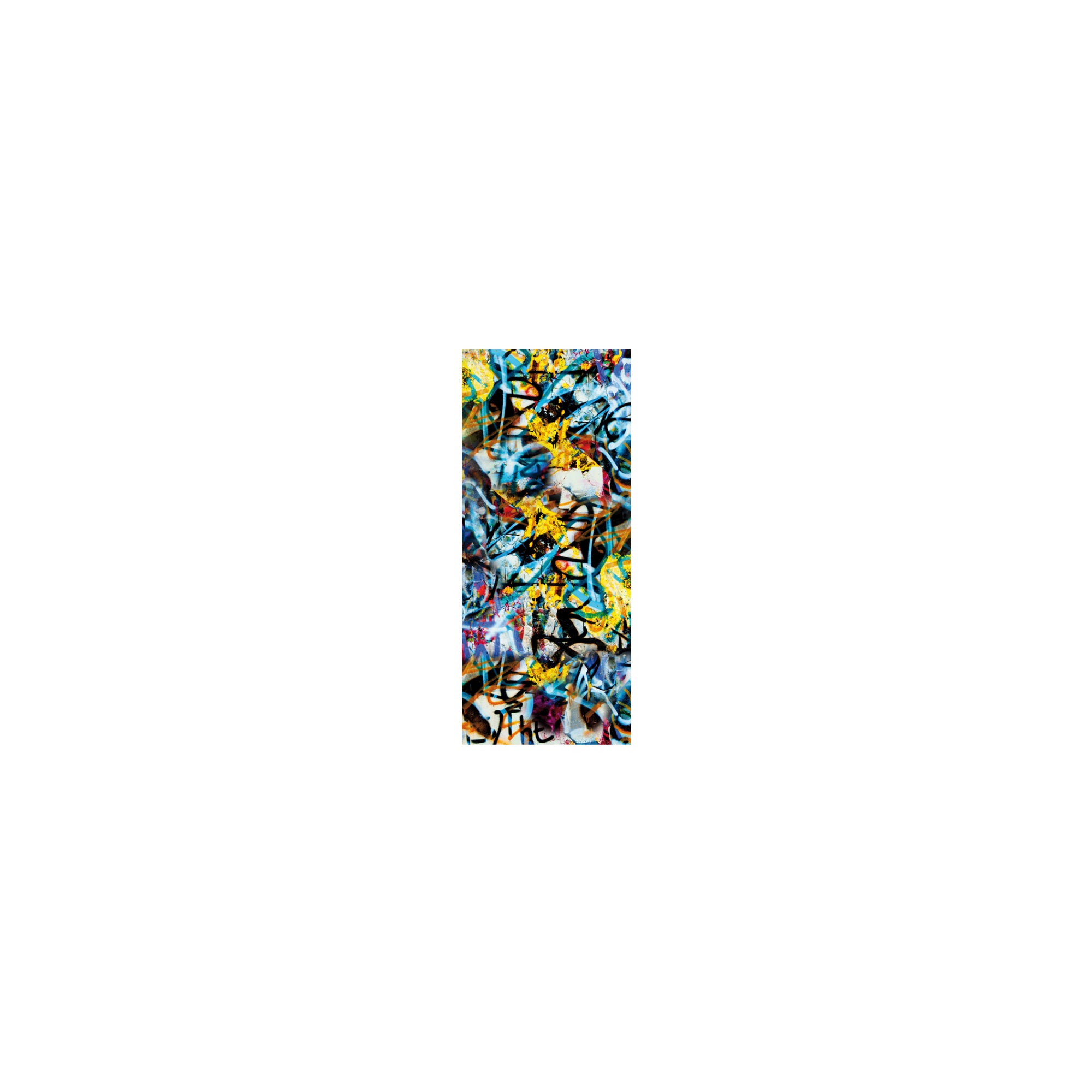 VETRO Glasscheibe GRAFFITI
B 515 x H 1200 mm
Motivdruck Graffiti 46/25