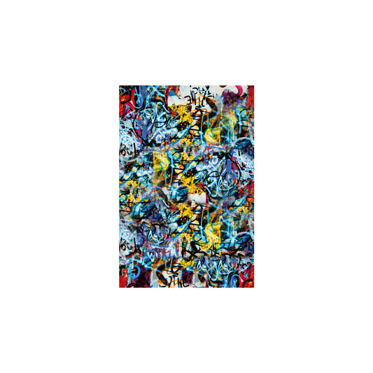 VETRO Glasscheibe GRAFFITI
B 1200 x H 1800 mm
Motivdruck Graffiti 46/25